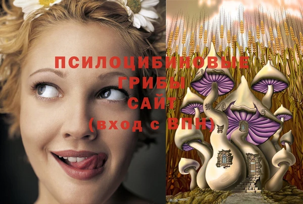 первитин Заволжье